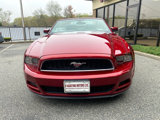 Used 2014 Ford Mustang Premium image 5