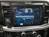 New 2025 Ford F250 Platinum image 4