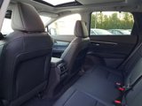 New 2025 Nissan Murano Platinum w/ Cargo Package image 5