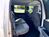 Used 2023 Ford F150 XLT image 6