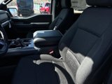 New 2025 Ford F150 XLT w/ Equipment Group 301A Standard image 4