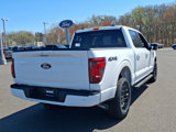 New 2025 Ford F150 XLT w/ Equipment Group 302A MID image 4