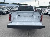 New 2025 Ford F150 XLT w/ Equipment Group 302A MID image 4