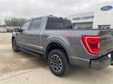 Used 2022 Ford F150 XLT w/ Equipment Group 302A High image 4