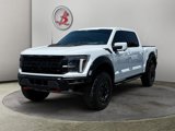 Used 2025 Ford F150 Raptor w/ Equipment Group 803A Raptor R image 3