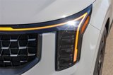 New 2025 Kia Carnival SX Prestige image 5