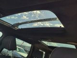 New 2025 Hyundai Palisade Calligraphy image 5