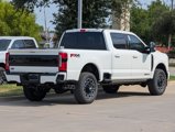 New 2026 Ford F250 Platinum image 5