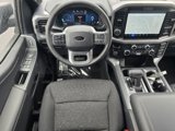 New 2025 Ford F150 XLT w/ Equipment Group 302A MID image 5