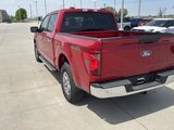 New 2025 Ford F150 XLT w/ Equipment Group 301A Standard image 5