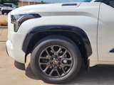 New 2025 Toyota Sequoia Platinum image 5