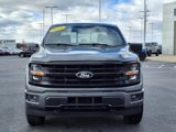 New 2025 Ford F150 XLT w/ Equipment Group 302A MID image 2