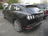New 2025 Ford Mustang Mach-E GT image 5