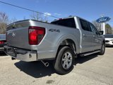 New 2025 Ford F150 XLT w/ Equipment Group 302A MID image 6