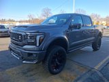 New 2025 Ford F150 Lariat w/ Equipment Group 502A High image 2