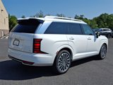 New 2026 Hyundai Palisade Calligraphy image 4