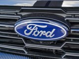 New 2025 Ford Expedition Active image 4