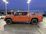 Certified 2024 Toyota Tundra TRD Pro image 4