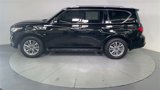 Used 2020 INFINITI QX80 Luxe w/ Proassist Package image 5