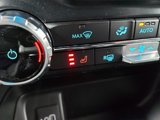 New 2025 Ford F150 XLT image 4