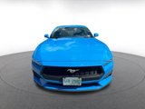 Used 2024 Ford Mustang Premium image 2
