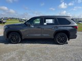 New 2025 Toyota Sequoia Platinum image 2