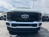 New 2025 Ford F250 Platinum image 2