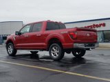 New 2025 Ford F150 XLT w/ Equipment Group 302A MID image 6