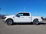 New 2025 Ford F150 XLT w/ Equipment Group 301A Standard image 2