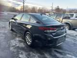 Used 2019 Hyundai Sonata SE image 5