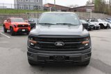 New 2025 Ford F150 XLT w/ Equipment Group 302A MID image 3