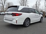 New 2025 Honda Odyssey Touring image 3