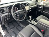Certified 2024 Toyota 4Runner TRD Off-Road Premium image 2