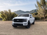 New 2025 Ford F150 Platinum image 2