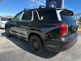 New 2025 Hyundai Palisade Calligraphy image 5