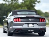 Used 2023 Ford Mustang Premium image 4