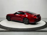 Used 2019 Ford Mustang Coupe w/ Equipment Group 101A image 6