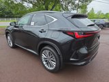 New 2025 Lexus NX 350 AWD w/ Luxury Package image 4