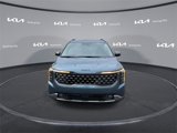 New 2025 Kia Carnival SX image 5