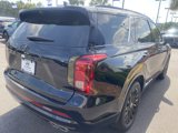 New 2025 Hyundai Palisade Calligraphy image 3