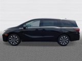 New 2025 Honda Odyssey Elite image 2