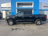 New 2025 Ford F150 XLT w/ Equipment Group 302A MID image 4
