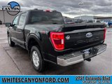 Used 2023 Ford F150 XLT image 3