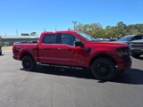 New 2025 Ford F150 XLT w/ Equipment Group 303A High image 2