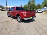 Used 2013 Ford F150 XLT w/ Luxury Equipment Group image 4