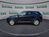 Used 2020 Ford Escape SE image 5