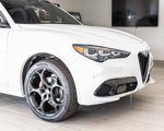 New 2025 Alfa Romeo Stelvio Tributo Italiano image 3