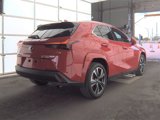 Used 2025 Lexus UX 300h FWD w/ Cold Area Package image 6
