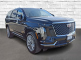 New 2025 Cadillac Escalade Premium Luxury image 3
