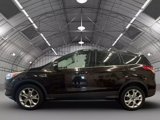 Used 2013 Ford Escape SEL image 2